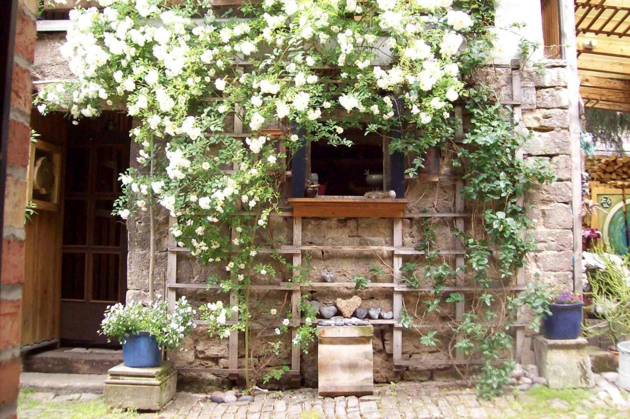Abh Am Blauen Hof Weimar (Thuringia) Exterior foto